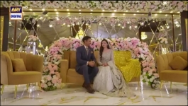 Tark e Wafa - Episode 28 - 4th August 2024